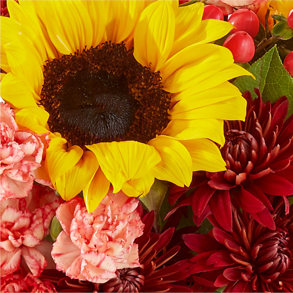 Fresh Cider Bouquet –  Herbert E Berg Florist Inc, Worcester MA