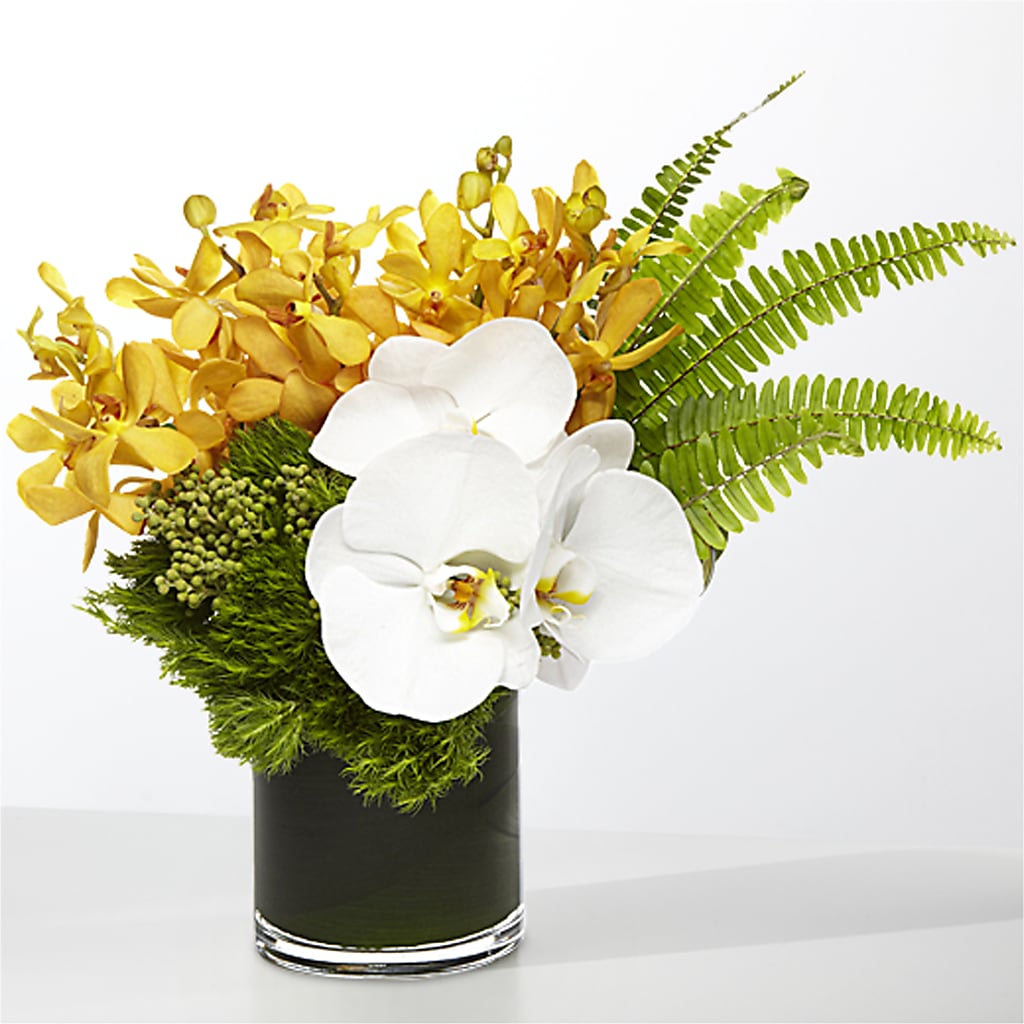 The Tropics –  Herbert E Berg Florist Inc, Worcester MA