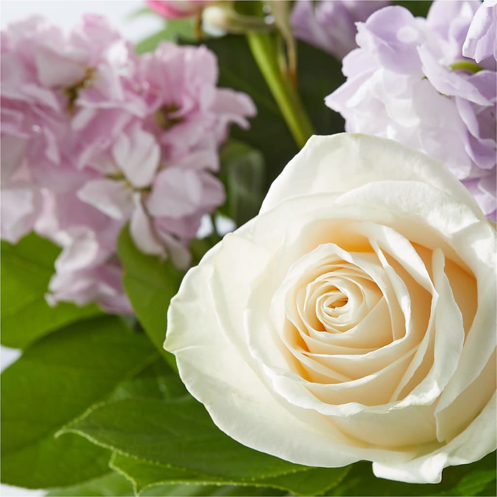 Springtime Spritz Bouquet –  Herbert E Berg Florist Inc, Worcester MA