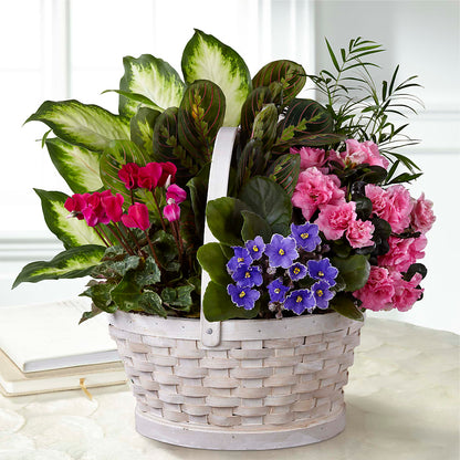 Peaceful Garden Planter –  Herbert E Berg Florist Inc, Worcester MA