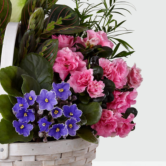 Peaceful Garden Planter –  Herbert E Berg Florist Inc, Worcester MA