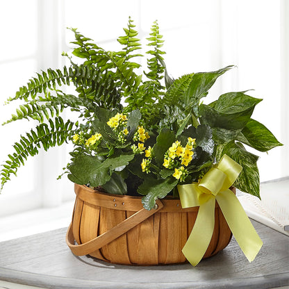 Always Dear Dishgarden –  Herbert E Berg Florist Inc, Worcester MA