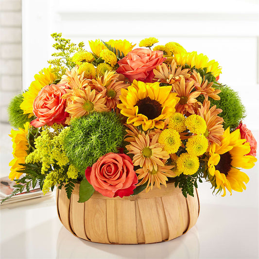 Harvest Sunflower Basket –  Herbert E Berg Florist Inc, Worcester MA