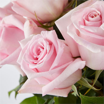 Picture Perfect Pink Rose Bouquet –  Herbert E Berg Florist Inc, Worcester MA