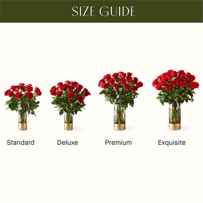 Classic Love Red Rose Bouquet –  Herbert E Berg Florist Inc, Worcester MA