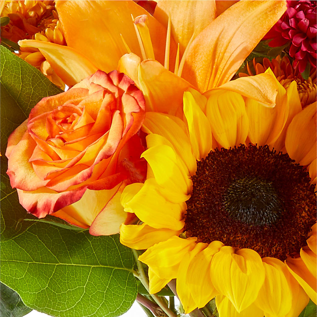 Fall Day Bouquet –  Herbert E Berg Florist Inc, Worcester MA