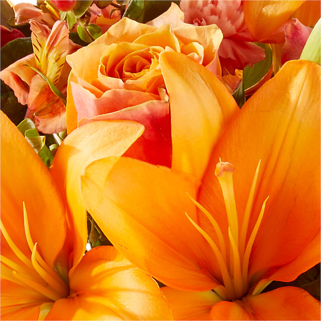 Afternoon Light Bouquet –  Herbert E Berg Florist Inc, Worcester MA