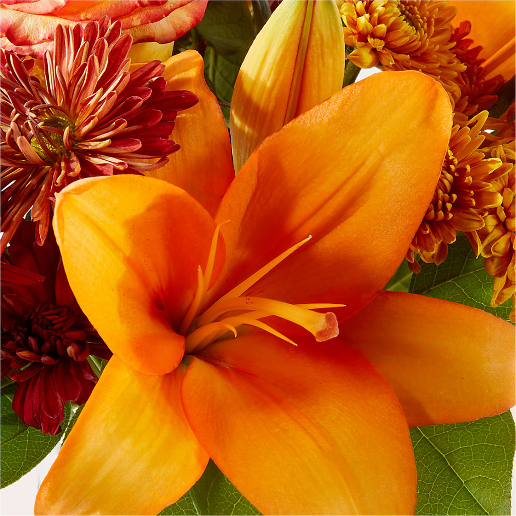 Autumnal Aroma Bouquet –  Herbert E Berg Florist Inc, Worcester MA