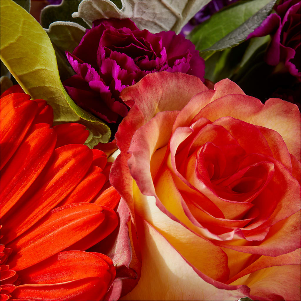 Sangria Bouquet –  Herbert E Berg Florist Inc, Worcester MA