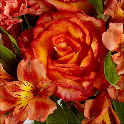 Apricot Glow Bouquet –  Herbert E Berg Florist Inc, Worcester MA
