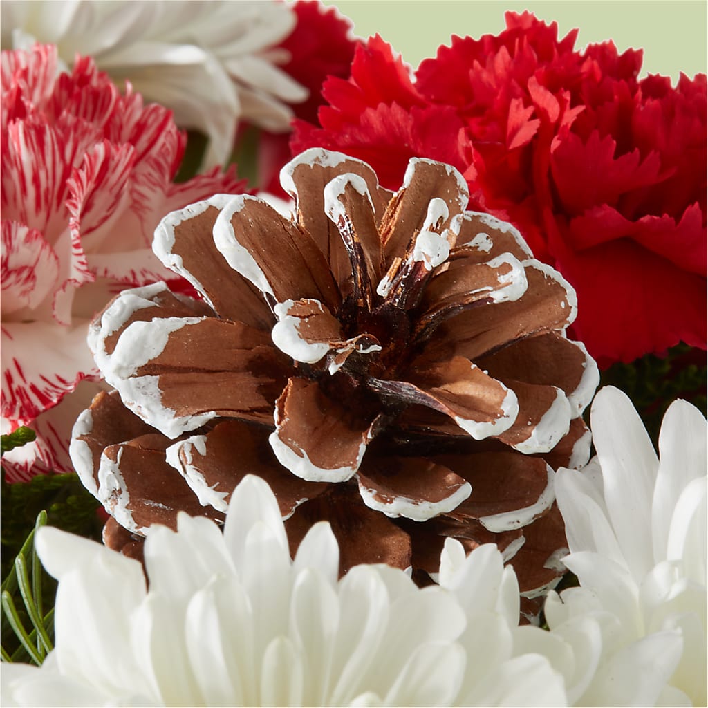 Candy Cane Lane Bouquet –  Herbert E Berg Florist Inc, Worcester MA