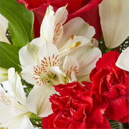 Holiday Season Bouquet –  Herbert E Berg Florist Inc, Worcester MA