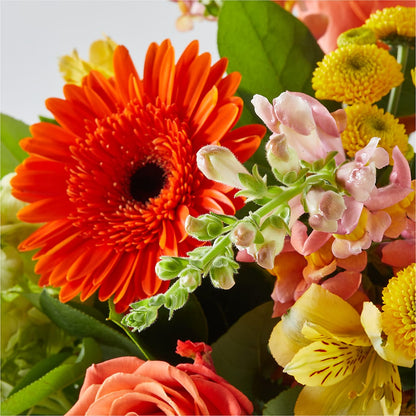 Autumn Sunshine Bouquet –  Herbert E Berg Florist Inc, Worcester MA
