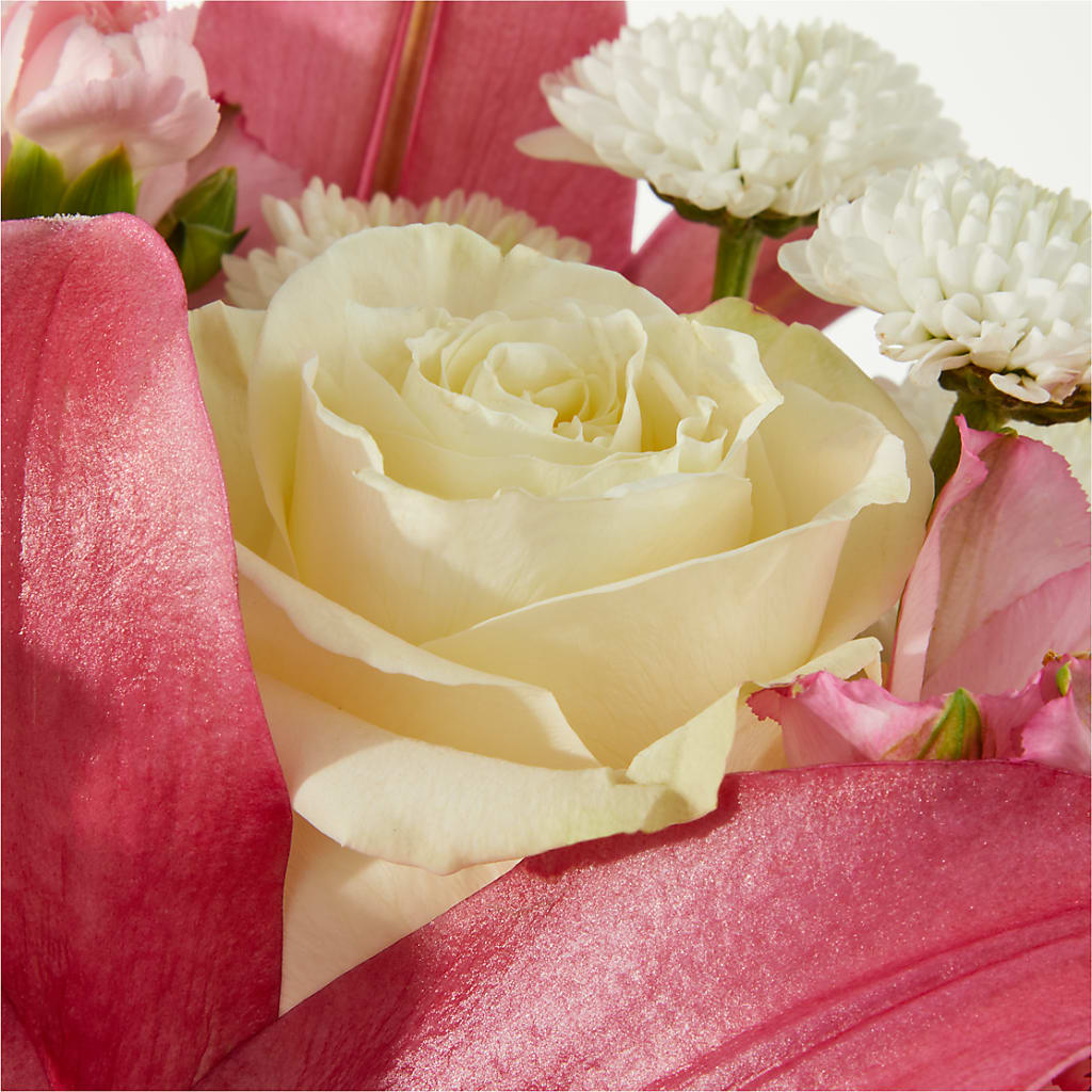 Piece of Cake Bouquet –  Herbert E Berg Florist Inc, Worcester MA