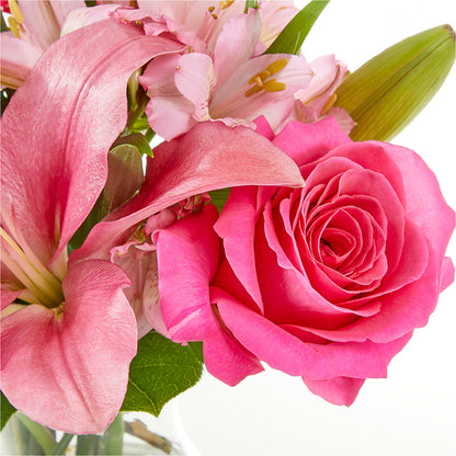 Lots of Love Bouquet –  Herbert E Berg Florist Inc, Worcester MA