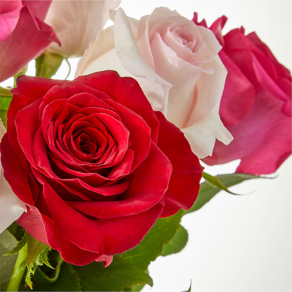Charming Rose Bouquet –  Herbert E Berg Florist Inc, Worcester MA