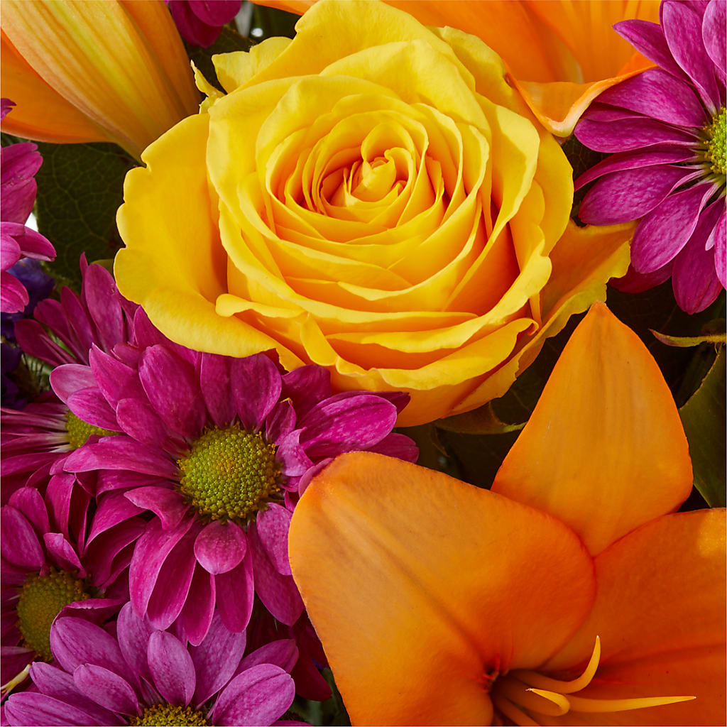 Colorful Visions Bouquet –  Herbert E Berg Florist Inc, Worcester MA
