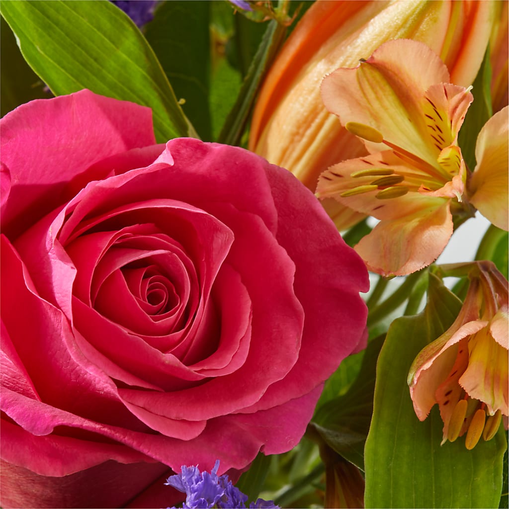 Joyful Bouquet –  Herbert E Berg Florist Inc, Worcester MA
