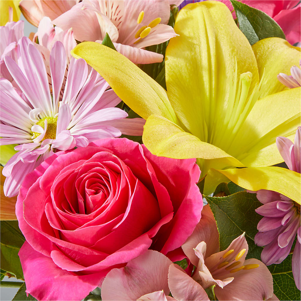 Sprinkles Bouquet –  Herbert E Berg Florist Inc, Worcester MA
