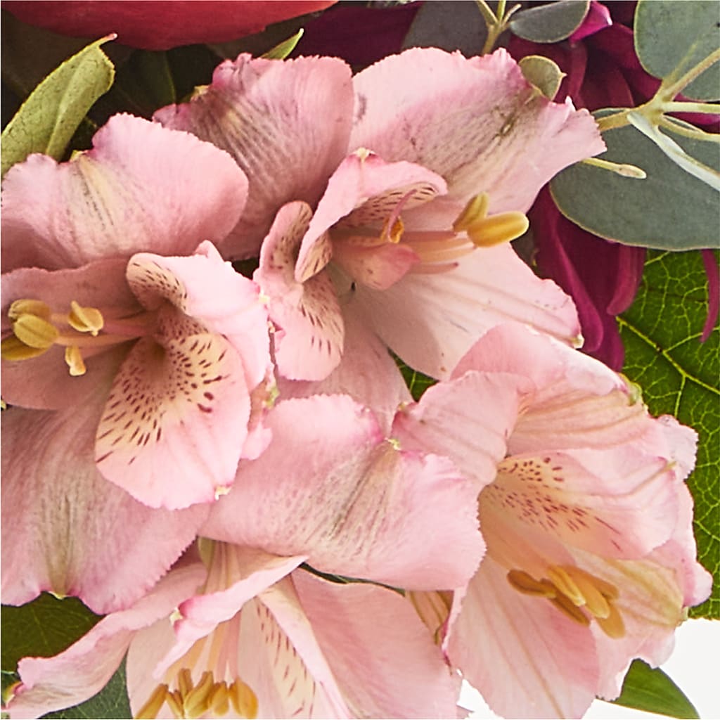 Berry Cobbler Bouquet –  Herbert E Berg Florist Inc, Worcester MA