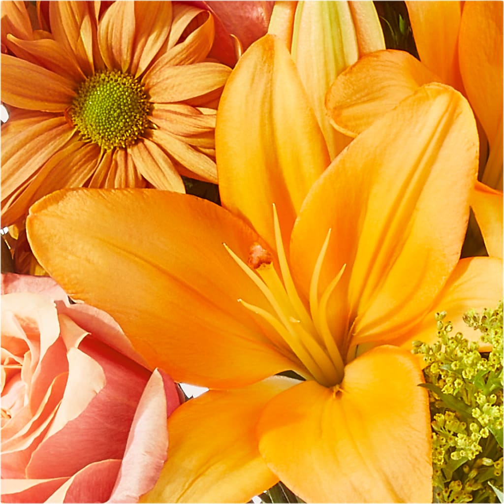 Harvest Hayride Bouquet –  Herbert E Berg Florist Inc, Worcester MA