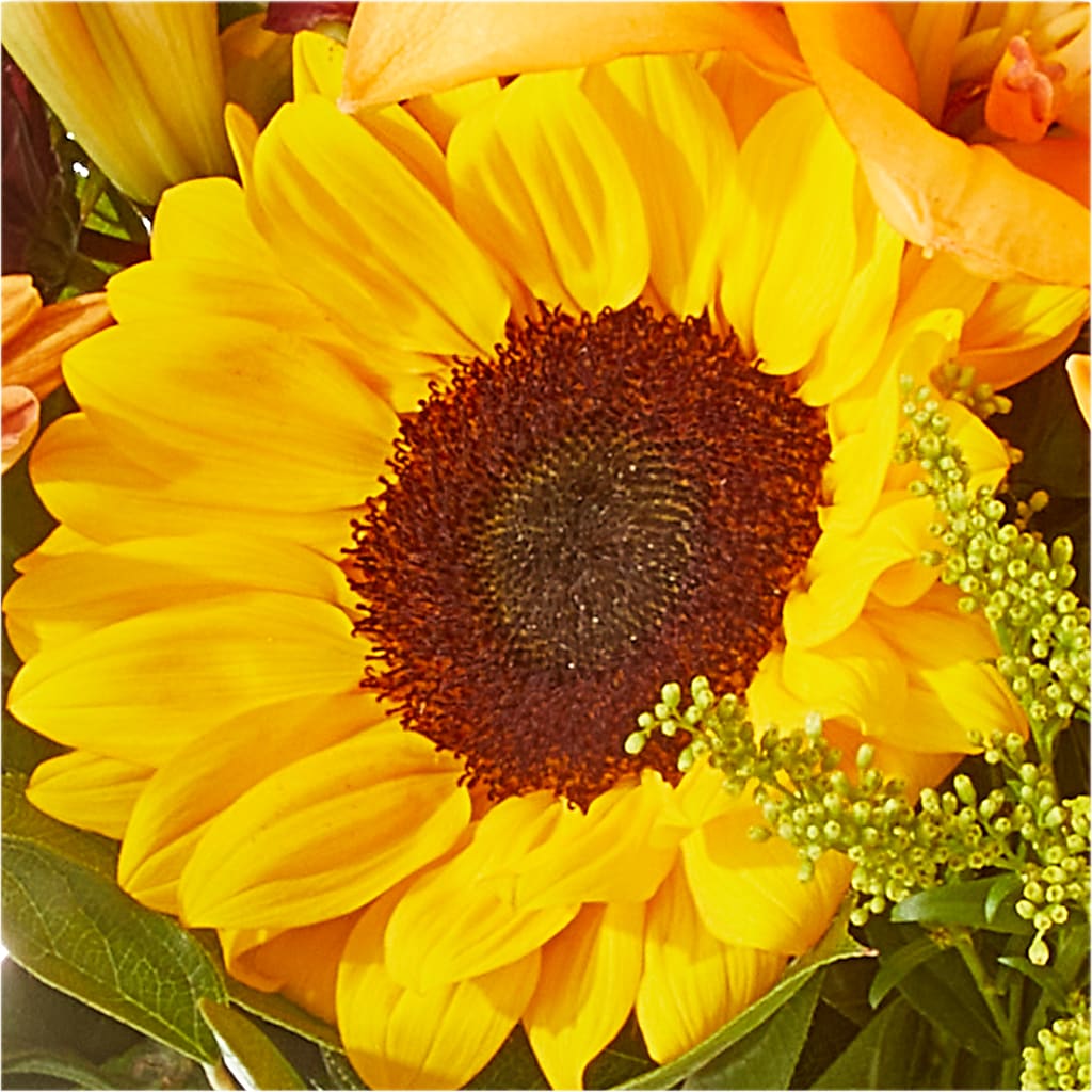 Seasons Change Bouquet –  Herbert E Berg Florist Inc, Worcester MA