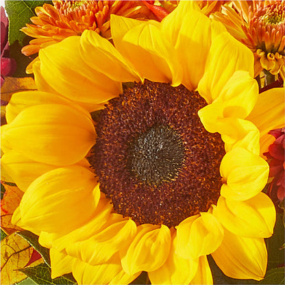 Sunny Side Bouquet –  Herbert E Berg Florist Inc, Worcester MA