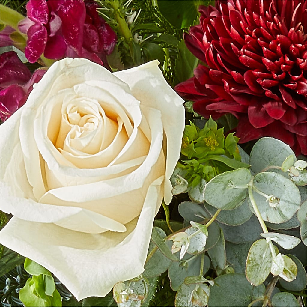Cranberry Fizz Bouquet –  Herbert E Berg Florist Inc, Worcester MA