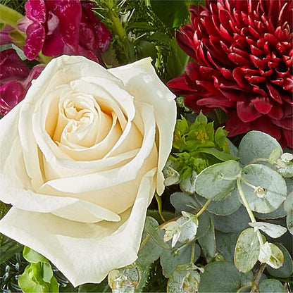 Cranberry Fizz Bouquet –  Herbert E Berg Florist Inc, Worcester MA