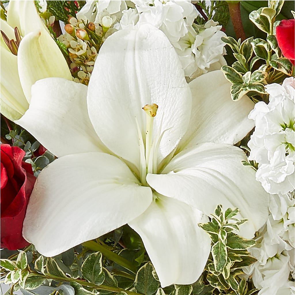 Twinkle Lights Bouquet –  Herbert E Berg Florist Inc, Worcester MA