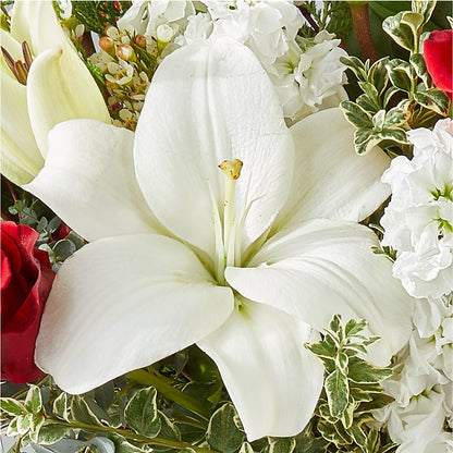 Twinkle Lights Bouquet –  Herbert E Berg Florist Inc, Worcester MA