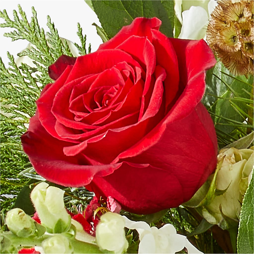 Deck the Halls Bouquet –  Herbert E Berg Florist Inc, Worcester MA