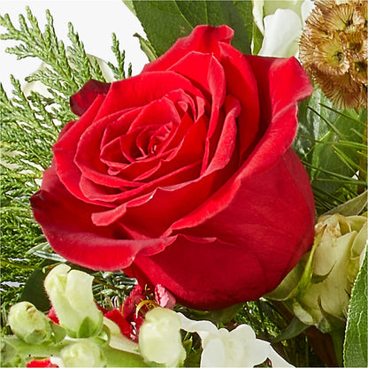 Deck the Halls Bouquet –  Herbert E Berg Florist Inc, Worcester MA