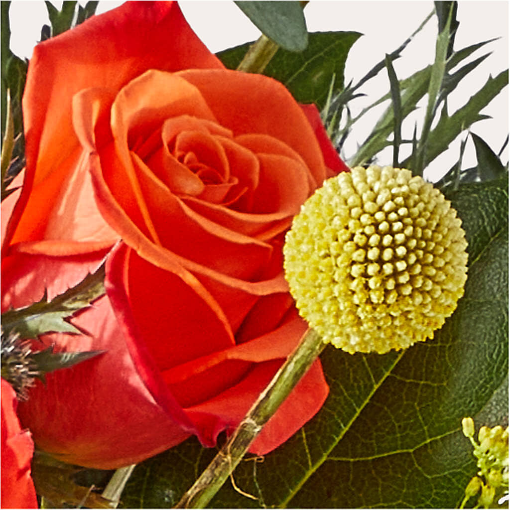 Disco Bouquet –  Herbert E Berg Florist Inc, Worcester MA