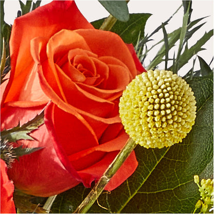 Disco Bouquet –  Herbert E Berg Florist Inc, Worcester MA