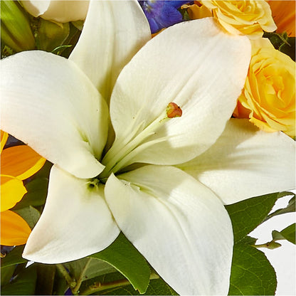 Wonderfully Sunny Bouquet –  Herbert E Berg Florist Inc, Worcester MA