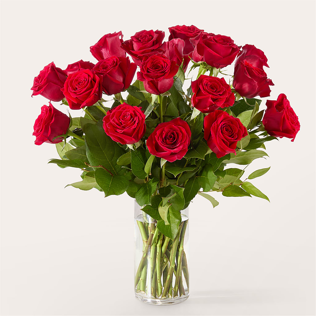 The One Red Rose Bouquet –  Herbert E Berg Florist Inc, Worcester MA