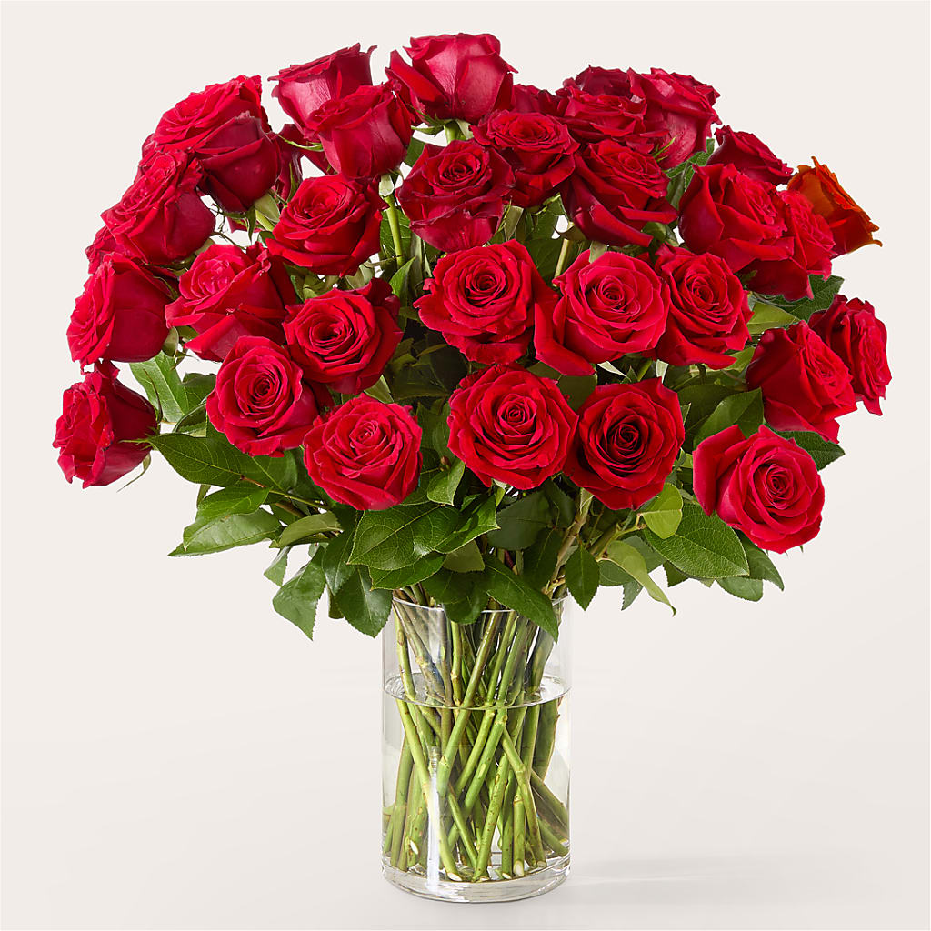 The One Red Rose Bouquet –  Herbert E Berg Florist Inc, Worcester MA
