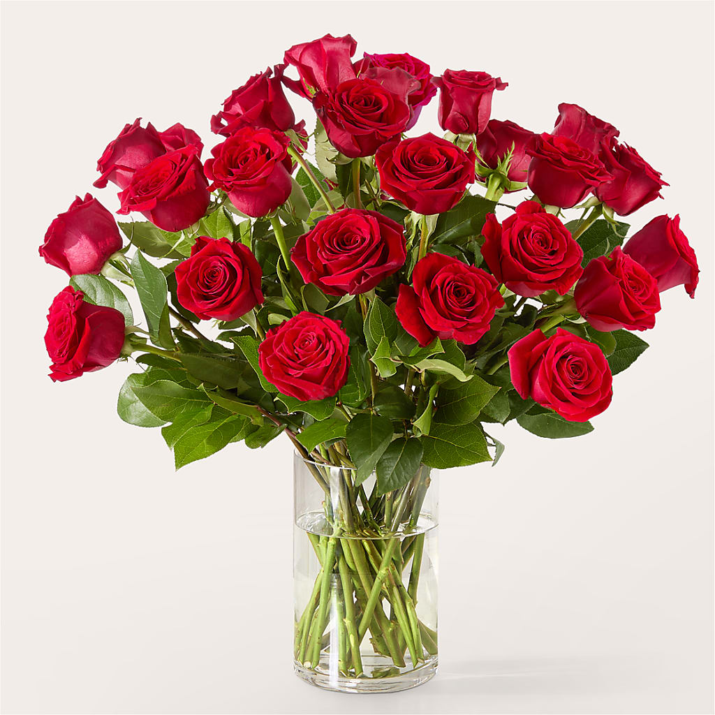 The One Red Rose Bouquet –  Herbert E Berg Florist Inc, Worcester MA