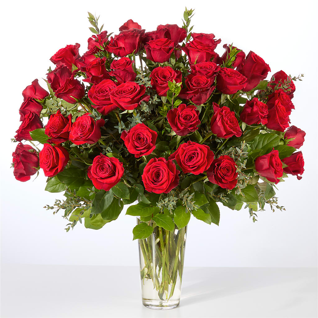 Forever Yours Fifty Stem Red Rose Bouquet –  Herbert E Berg Florist Inc, Worcester MA