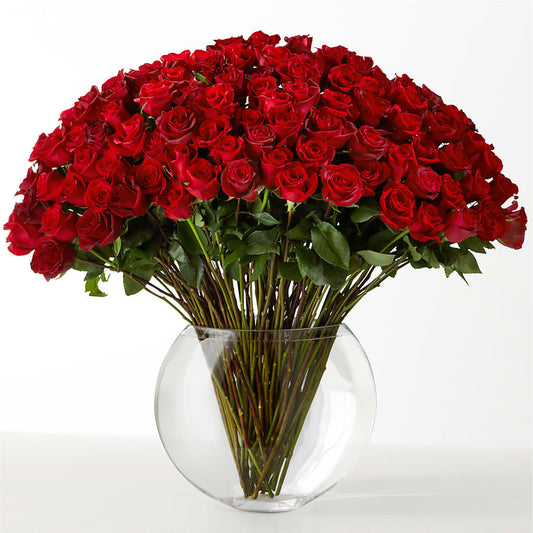 The Idealist –  Herbert E Berg Florist Inc, Worcester MA