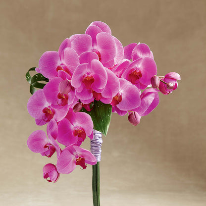 Glorious Bouquet –  Herbert E Berg Florist Inc, Worcester MA