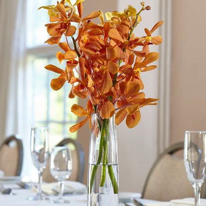 Orange Mokara Bud Vase –  Herbert E Berg Florist Inc, Worcester MA