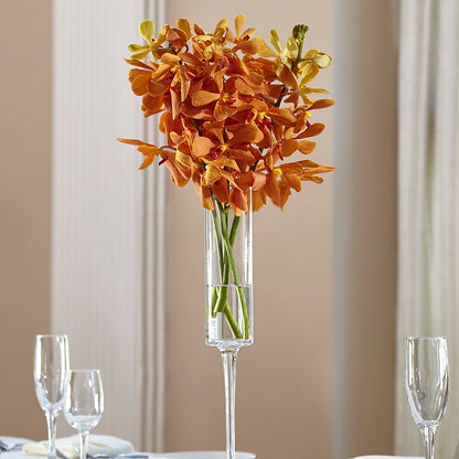 Orange Mokara Bouquet –  Herbert E Berg Florist Inc, Worcester MA