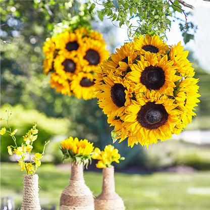 Sublime Garden Hanging Arrangement –  Herbert E Berg Florist Inc, Worcester MA