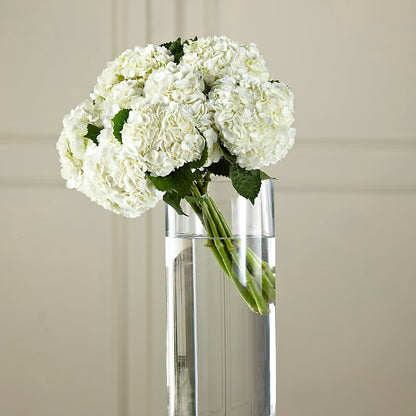 White Hydrangea Hand-Tied Bouquet –  Herbert E Berg Florist Inc, Worcester MA