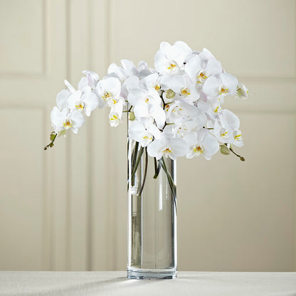 White Phalaenopsis Bouquet –  Herbert E Berg Florist Inc, Worcester MA