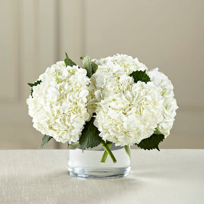 White Hydrangea Bouquet –  Herbert E Berg Florist Inc, Worcester MA